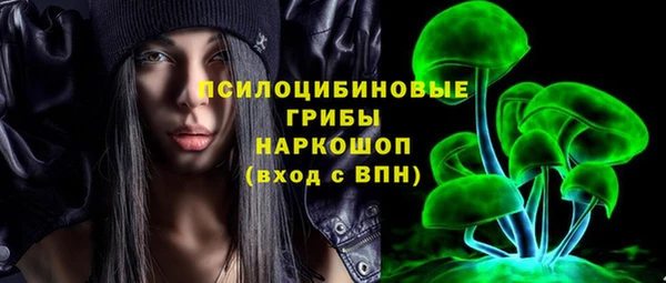прущие грибы Приозерск