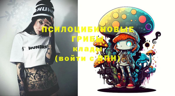 соль ск Алексин